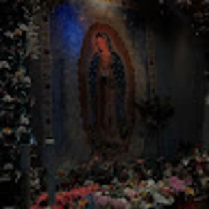 Meet your Posher, Maryjane